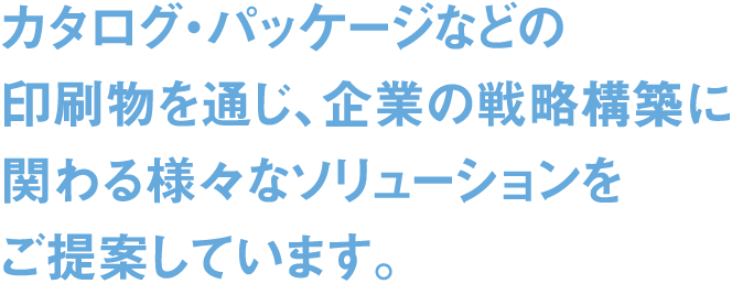 カタログ・パッケージなどの印刷物を通じ、企業の戦略構築に関わる様々なソリューションをご提案しています。