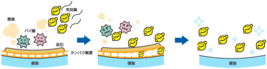 分解イメージ