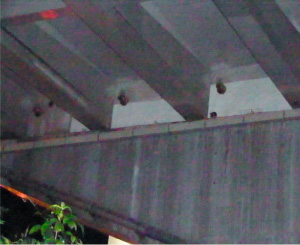 施工後　鳩などの鳥類は見られません。