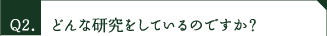 どんな研究をしているのですか？