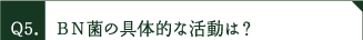 ＢＮ菌の具体的な活動は？
