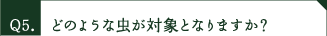 どのような虫が対象となりますか？